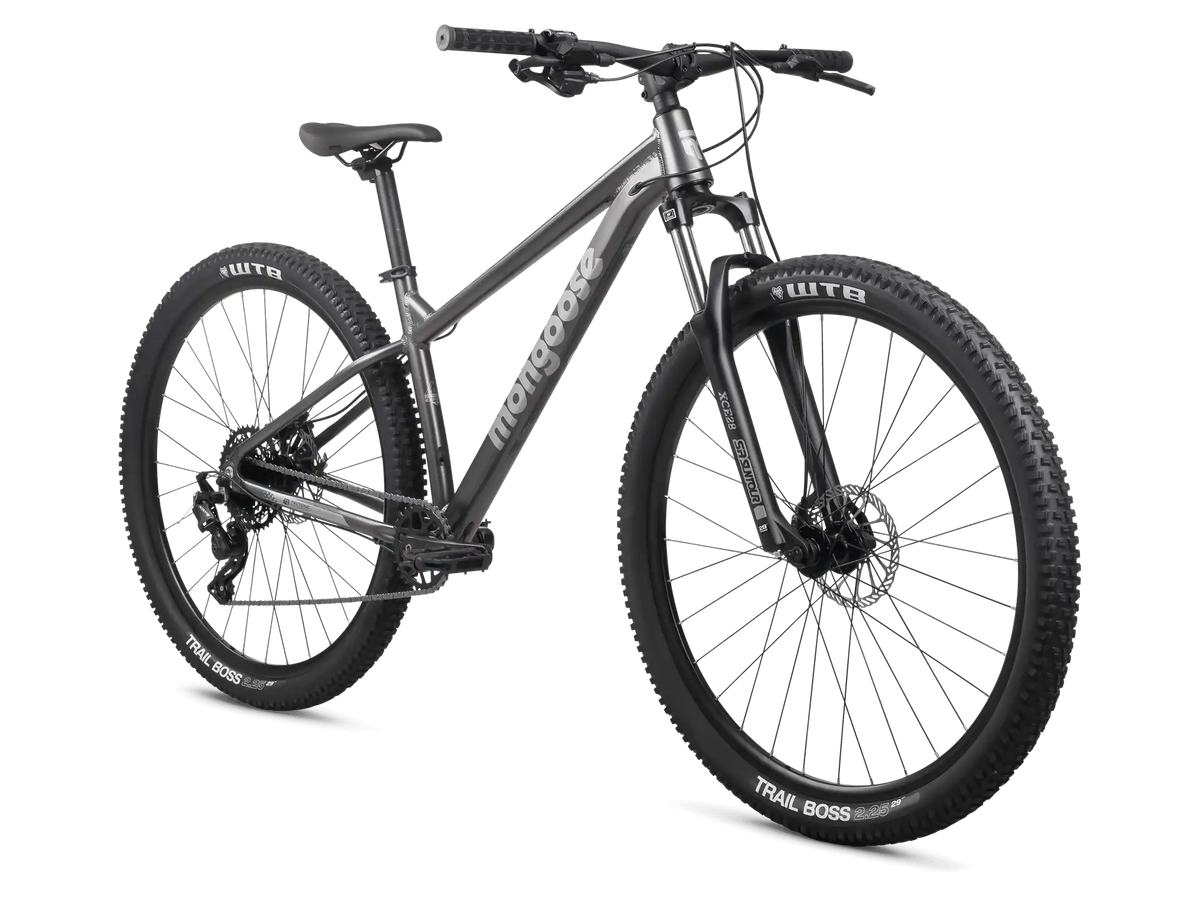 Switchback Expert - 29in