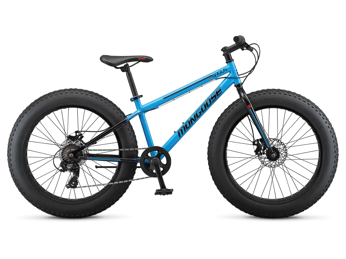 Argus ST 24in