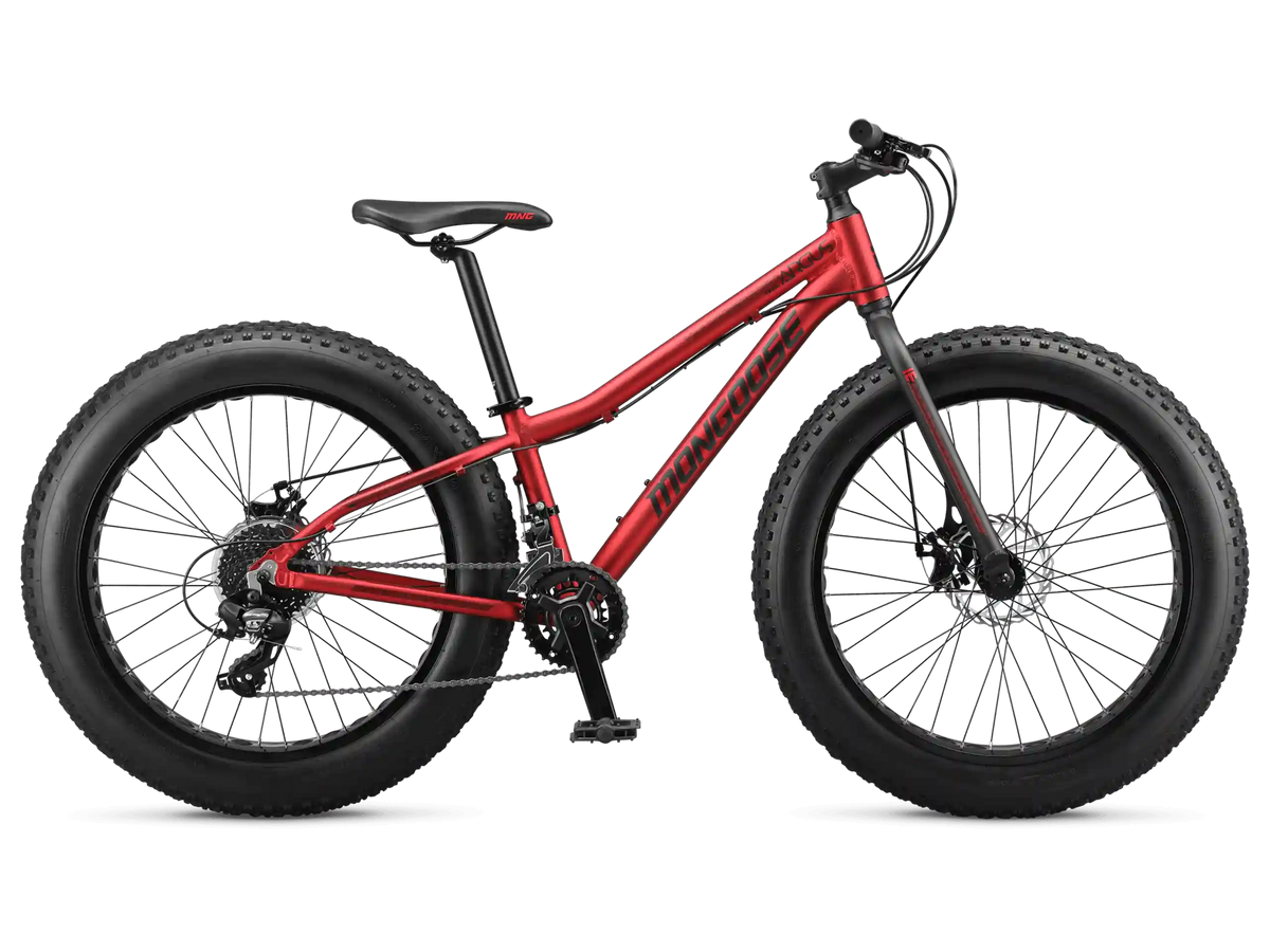 Argus Trail 24in