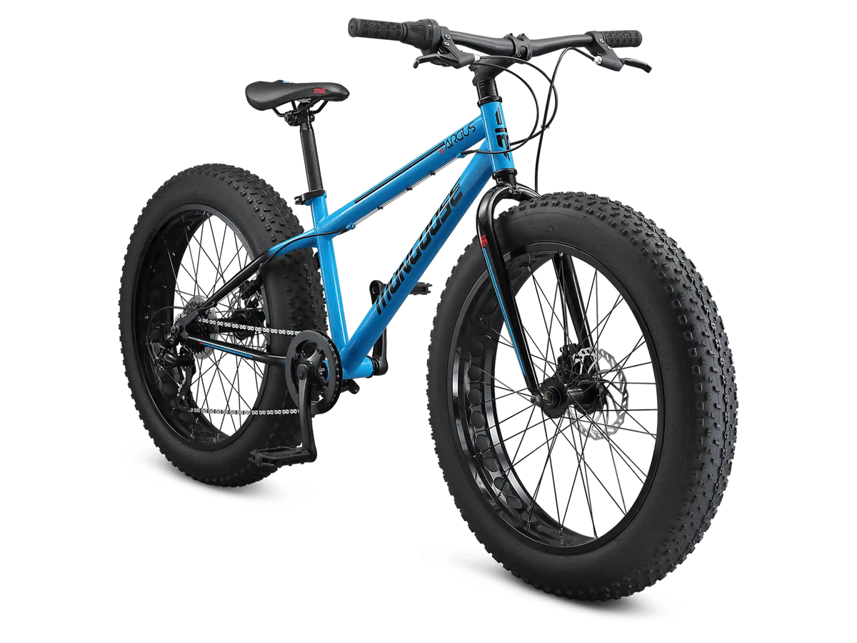 Argus ST 24in