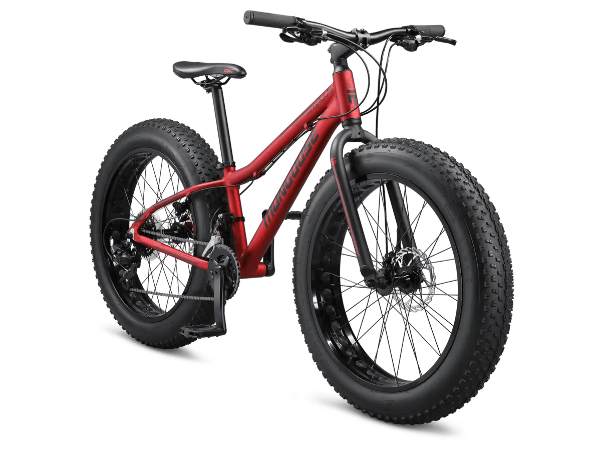 Argus Trail 24in